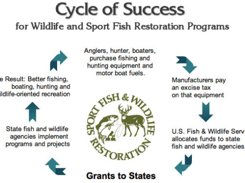 Participation in hunting sports is dwindling at an alarming rate! Here's what you can do to help. 4