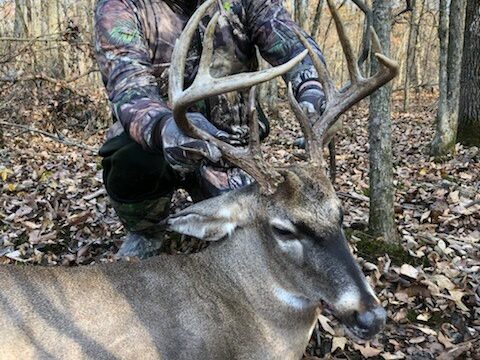 Thoughts Ahead of My Arkansas Whitetail Trip 1