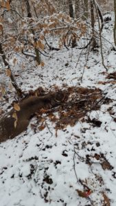 2018 Ohio 8 Point - "Offhand" Opportunity 3
