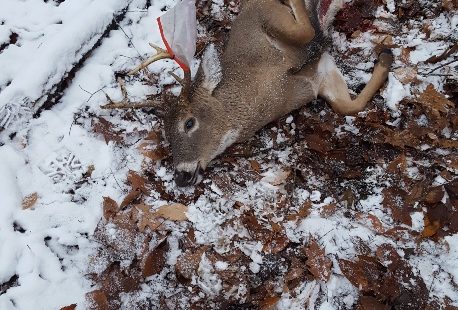 2018 Ohio 8 Point - "Offhand" Opportunity 1